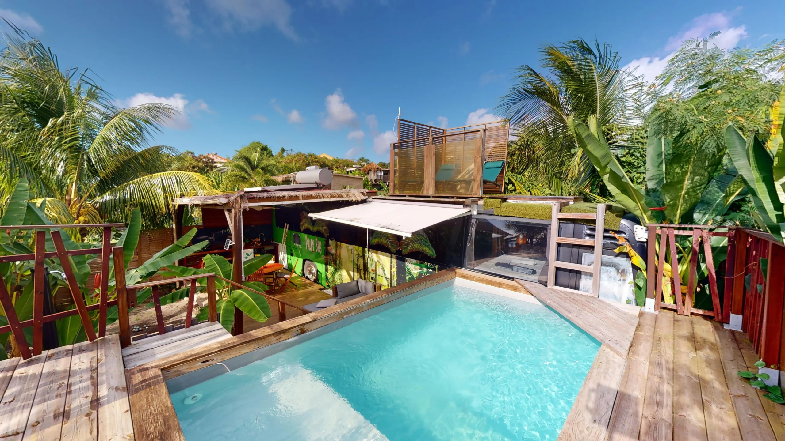 Palm bus martinique pisicne